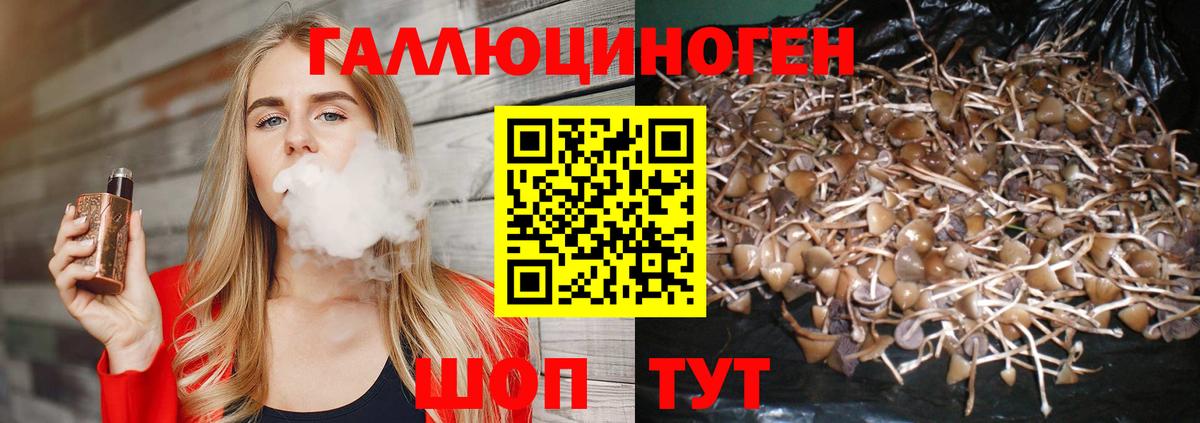 Галлюциногенные грибы Magic Shrooms Севастополь